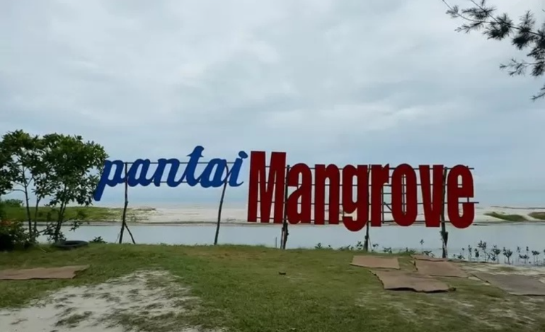 Pantai Mangrove Wisata Edukasi Surga Hijau di Tepi Laut