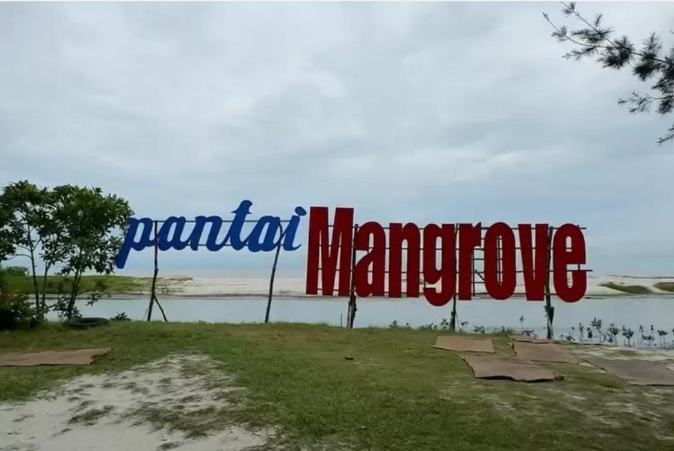 Pantai Mangrove Wisata Edukasi Surga Hijau di Tepi Laut
